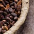 Pour en savoir plus sur le Cacao